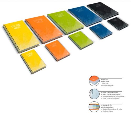 CAD.ESP.CD B5 CREATIVE MINDS 80100FLS SORT PAUT , FIRMO , 79194 , 5601645228108